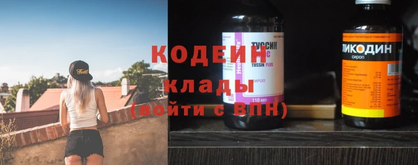 индика Абинск