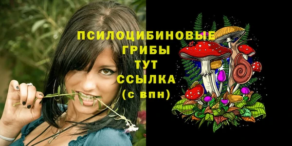 apvp Абаза