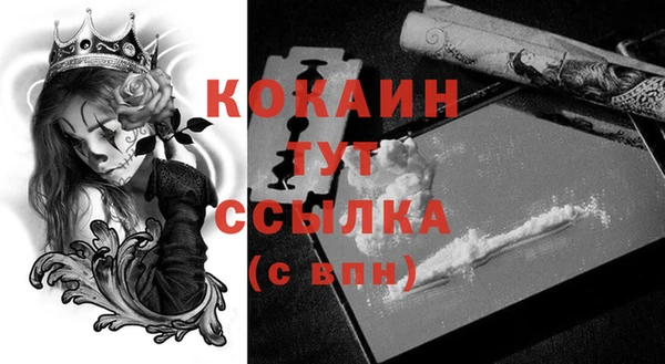 индика Абинск