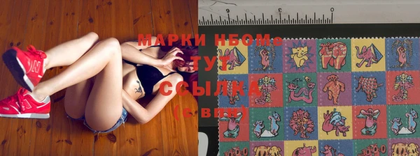 apvp Абаза