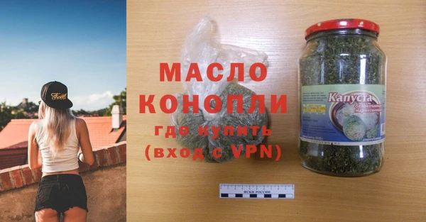 индика Абинск