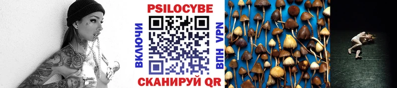 Псилоцибиновые грибы GOLDEN TEACHER где купить наркотик Мирный